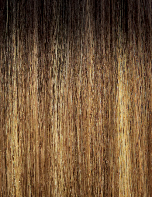 Neesha Soft & Natural Synthetic Lace Front Wig Neesha205