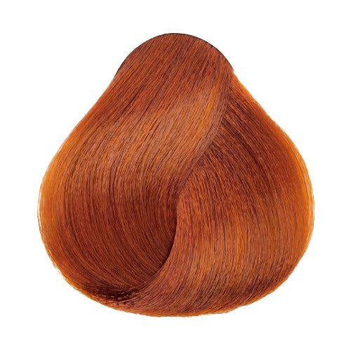 L'ORÉAL HiColor Permanent Color 1.74oz