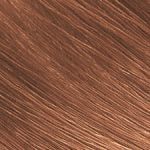 Exotic Shine Color Kit