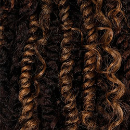 Xp Lil Looks Box Braid Sweety 8" 2x