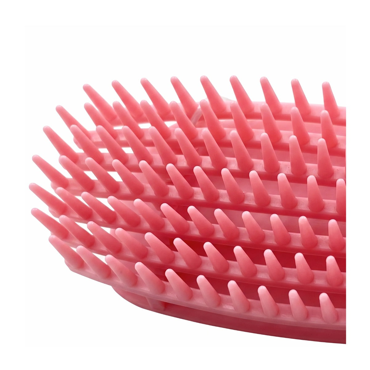 Shampoo & Detangling Brush [Assorted Color] #2950