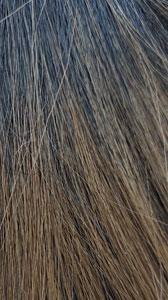 Premium Synthetic Full Wig - MORISSA