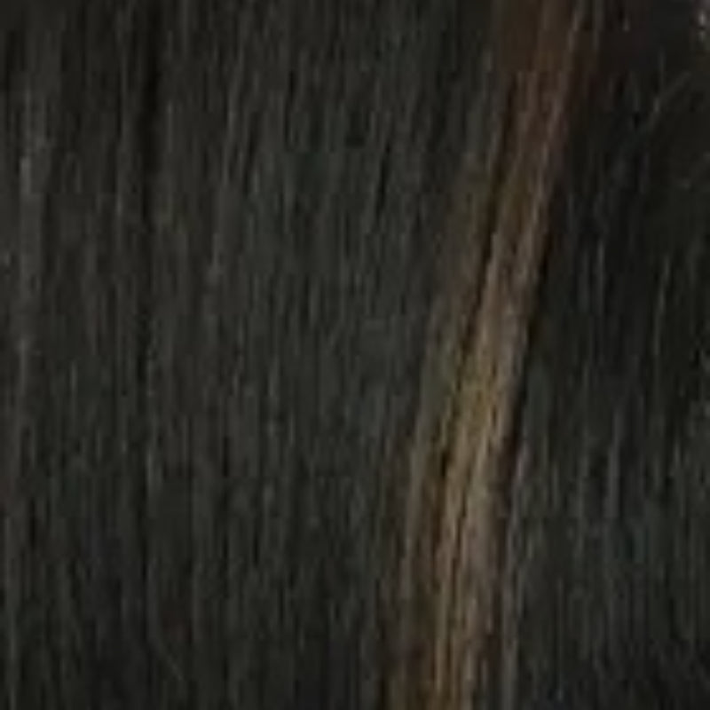 ITS A WIG Swiss lace front wig straight dark brown hair with subtle caramel highlights and smooth texture