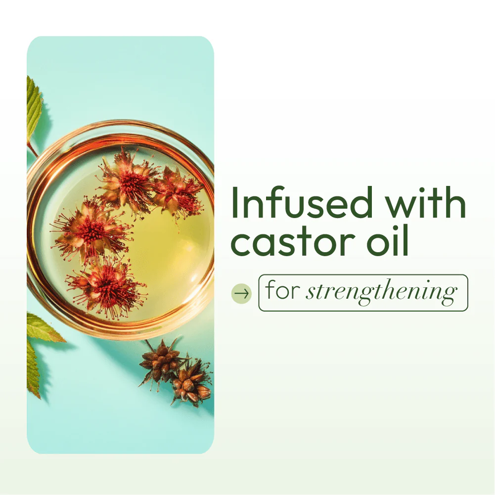 Olive Oil Oil Moisturizing Hair Lotion