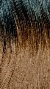 BFF Human Hair Blend Half Wig Boina 16"