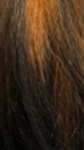 Close up of NUTIQUE Illuze Livia HD lace wig showing dark brown hair with copper highlights and natural texture