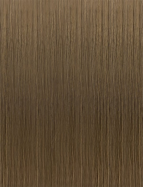 OUTRE 13x6 lace front wig straight light brown hair texture close up showing smooth strands