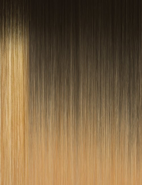 OUTRE 13x6 lace front wig straight ombre with dark brown roots fading to honey blonde ends